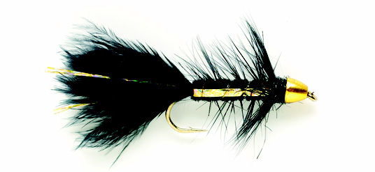 Golden Bullet Black Flash