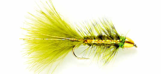 Golden Bullet Olive Flash