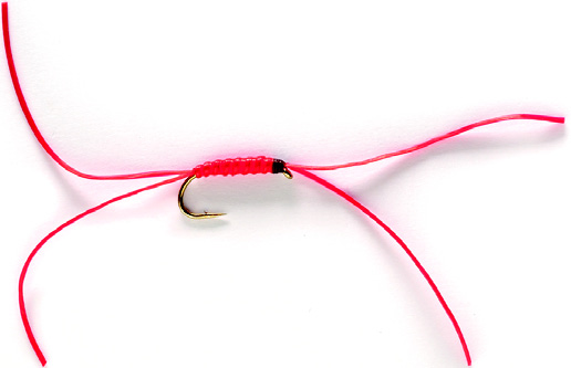 Flexi Legs apps Bloodworm weighted SIZE 10 (A4P)