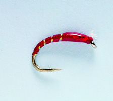 3D Glass Blood Chironomid 