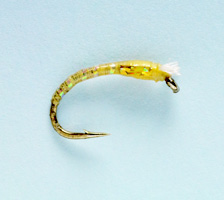 3D Golden Olive Chironomid