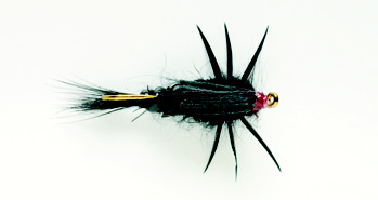 Creeping Stone Black