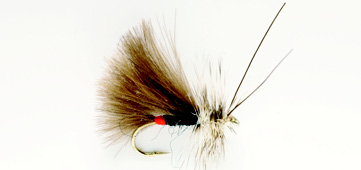 High Rider CDC Black 