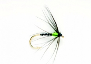 Hot Spot Spider Green