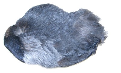 VENIARD Jackdaw whole scalp