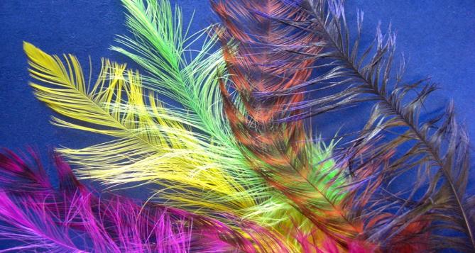 C.T.F.C Schlappen Spey feathers