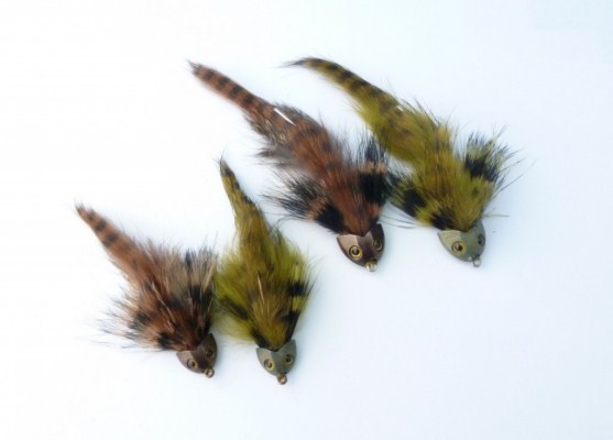 Fish Skull - Sculpin Helmet